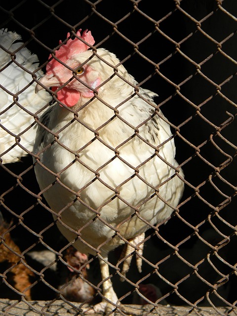 的关键枢纽 的关键枢纽