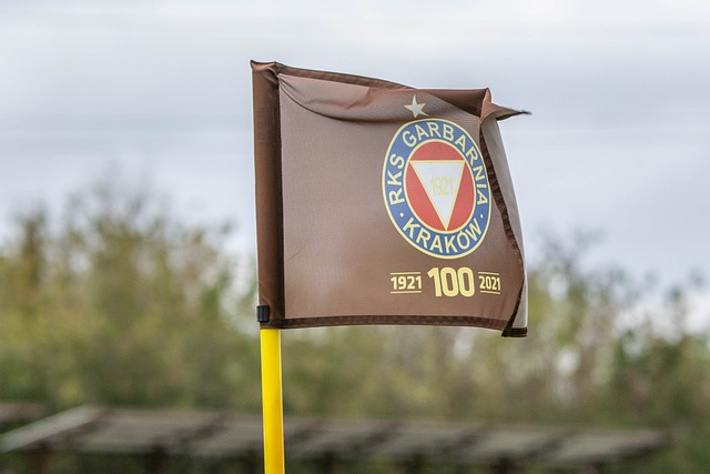 应该优化和 应该优化和